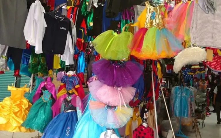 disfraces shadieira 768x480