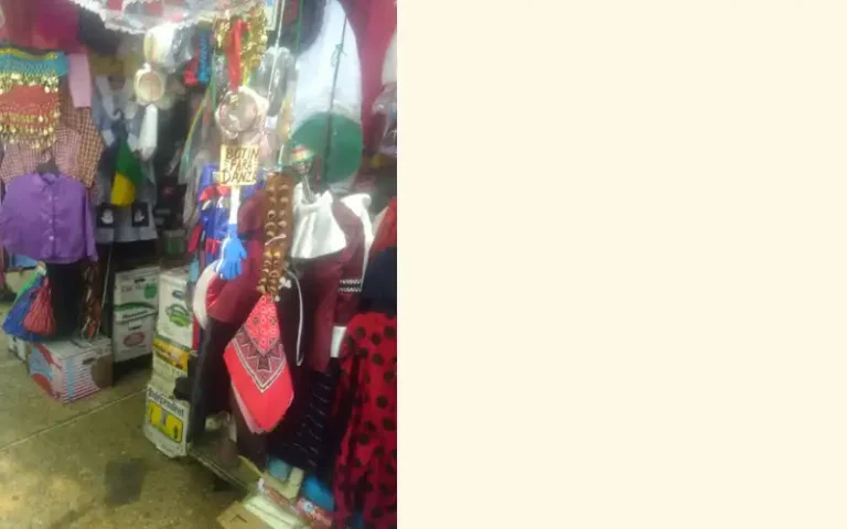 disfraz mercado azcapo 768x480