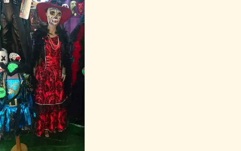 disfraces darios 768x480