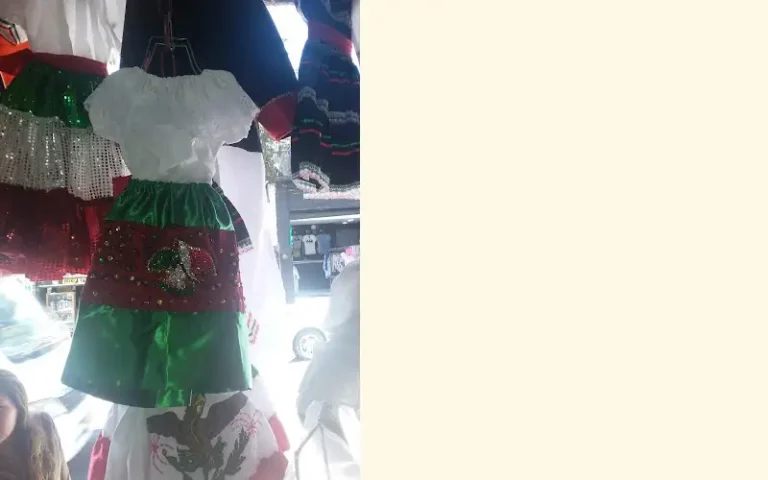 disfraces domino 768x480