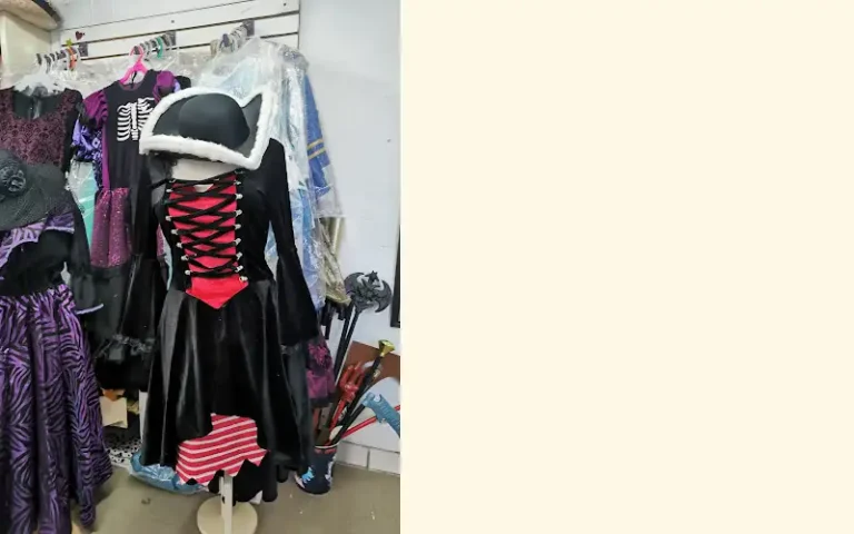 disfraces emy 768x480