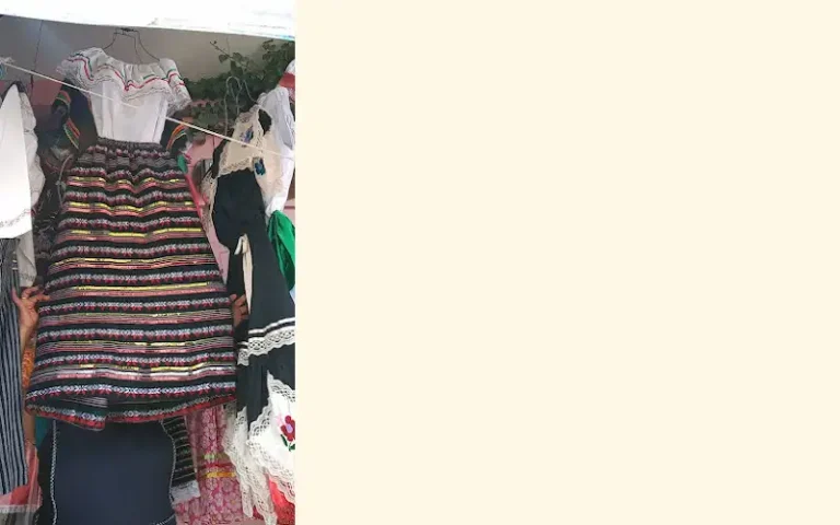 disfraces en renta chayito 768x480