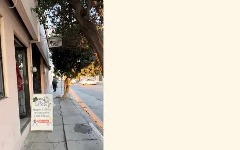 disfraces lilas 768x480