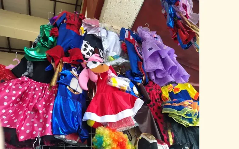 disfraces monarca 768x480