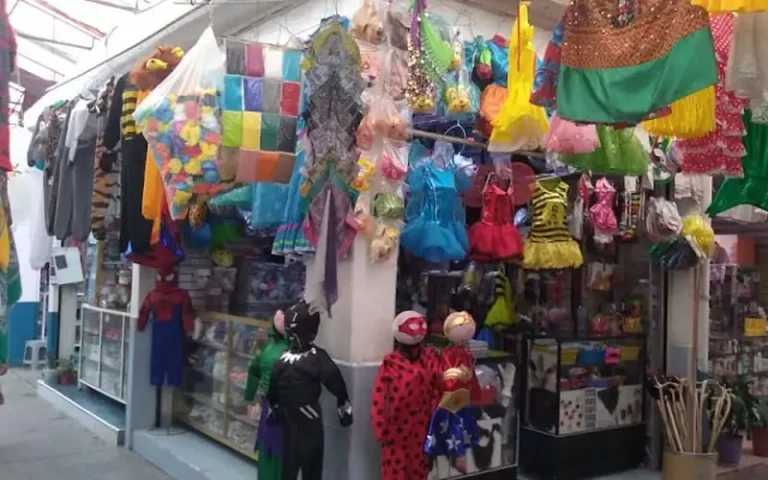 disfraces y trajes regionales lulu 768x480