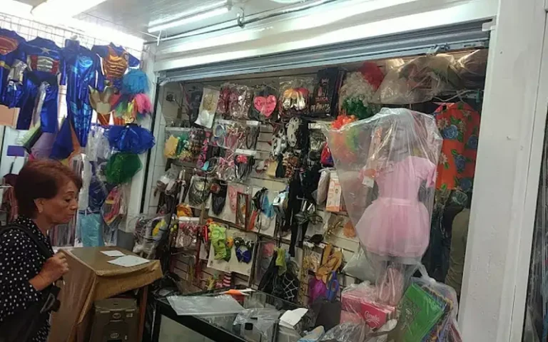 local de disfraces y accesorios 768x480