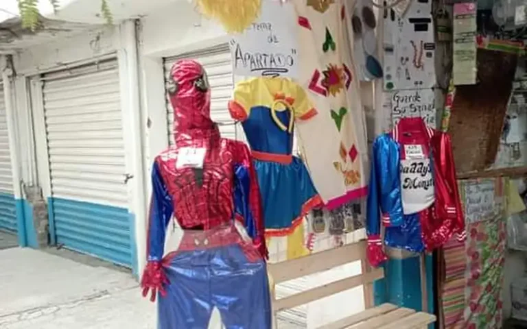 merceria y disfraces lupita 768x480