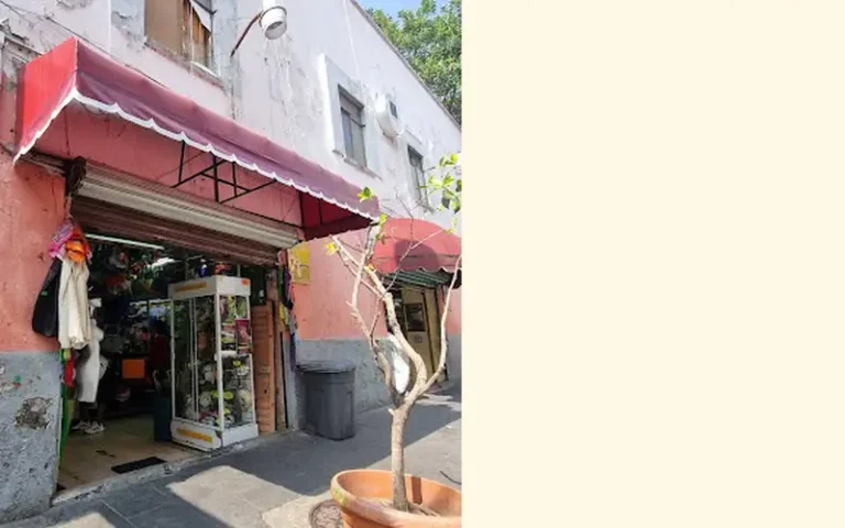 talitadisfraces 768x480