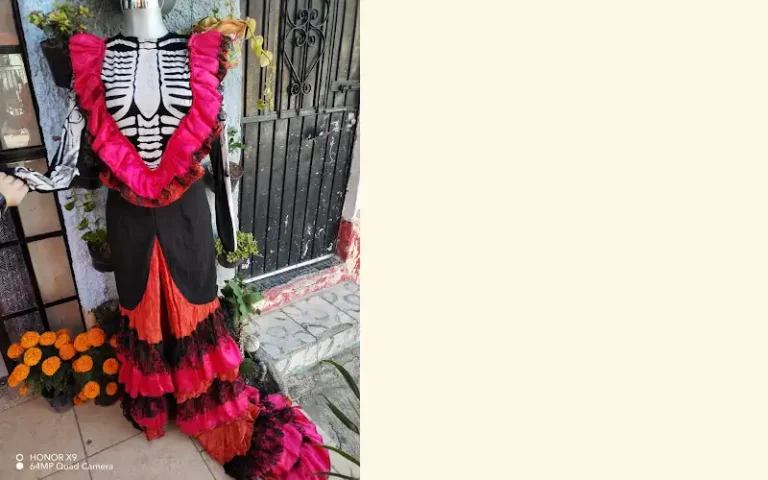 disfraces norma 768x480