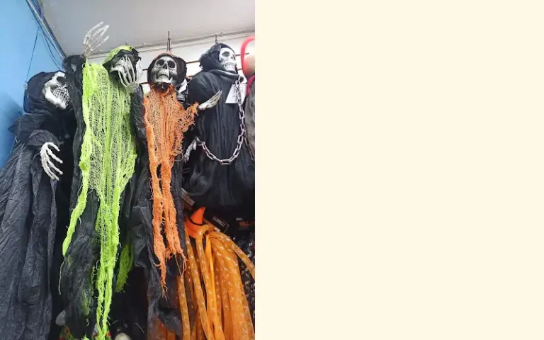 la casita de andy disfraces guadalajara 768x480