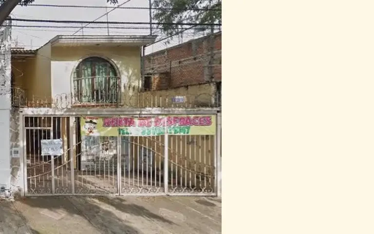 renta de disfraces y trajes tipicos la abejita 768x480