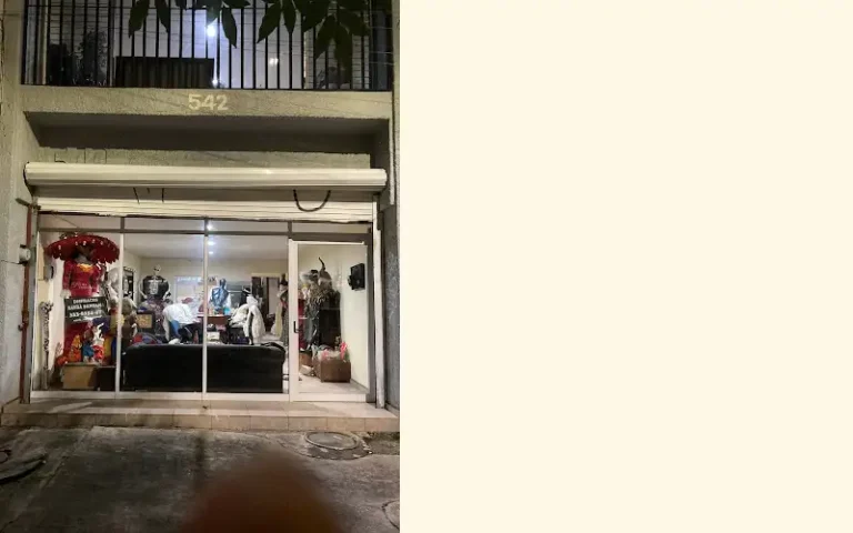 sayda santana disfraces 768x480