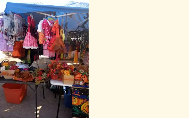 disfraces dona wera 768x480