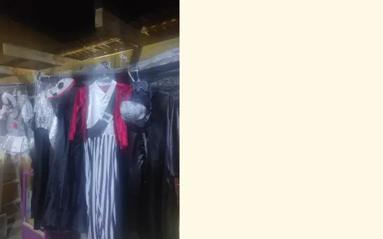 disfraces mary 768x480