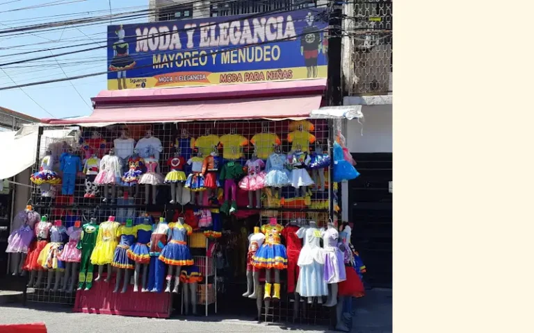 moda y elegancia 768x480