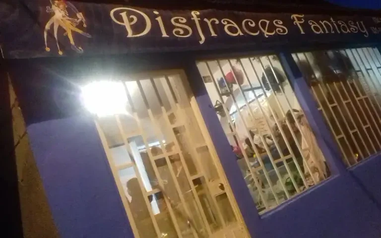 disfraces susys 768x480