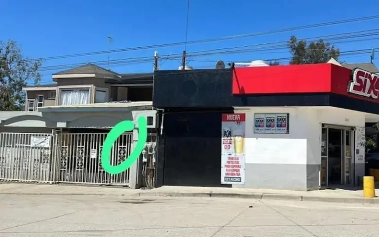 lili rosarito 768x480