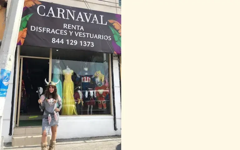 carnaval disfraces 768x480