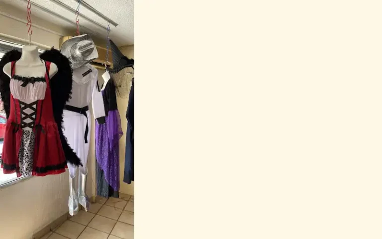 carnaval disfraces y vestuarios 768x480