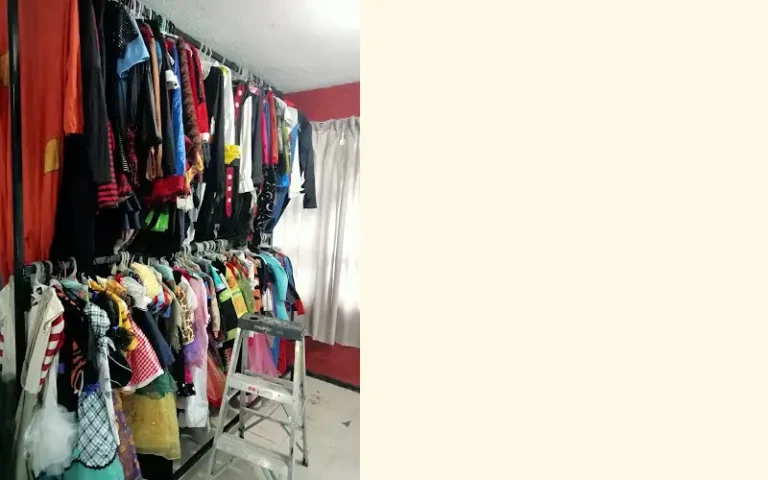 disfraces americanos el closet by carolina villarreal 768x480