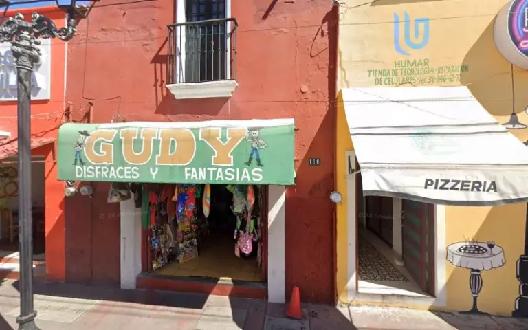 disfraces gudy 768x480