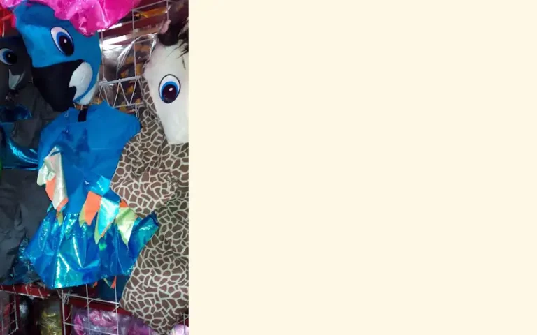 disfraces y trajes regionales custome galeria del disfraz 768x480