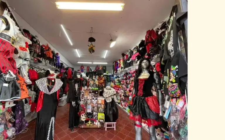 moda princesa 768x480