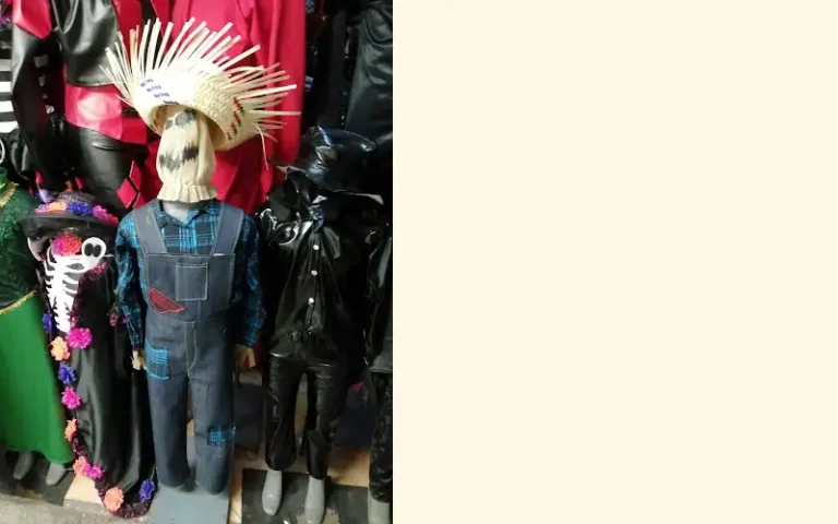 regional costumes and suits the world of disguise 768x480