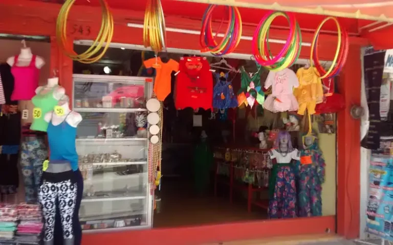 articulos y novedades erika 768x480