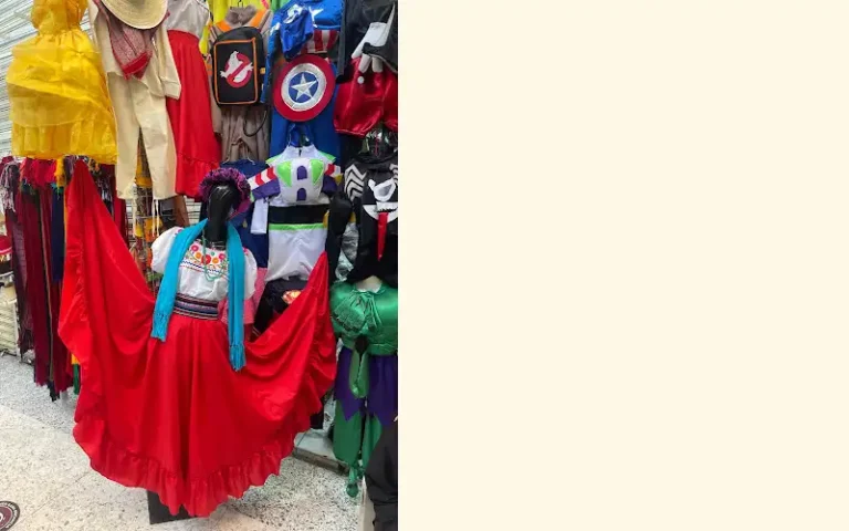 disfraces cristobalina ibarra 768x480