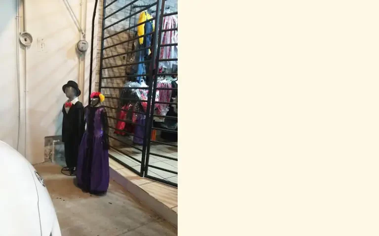 disfraces karol 768x480