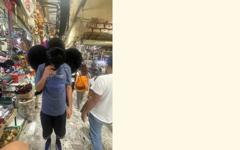 galeria del disfraz venustiano carranza cdmx 768x480