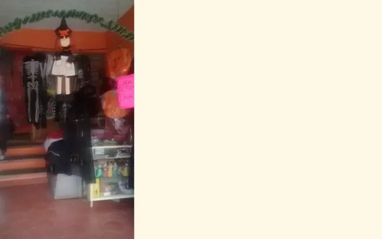 renta de disfraces nina 768x480